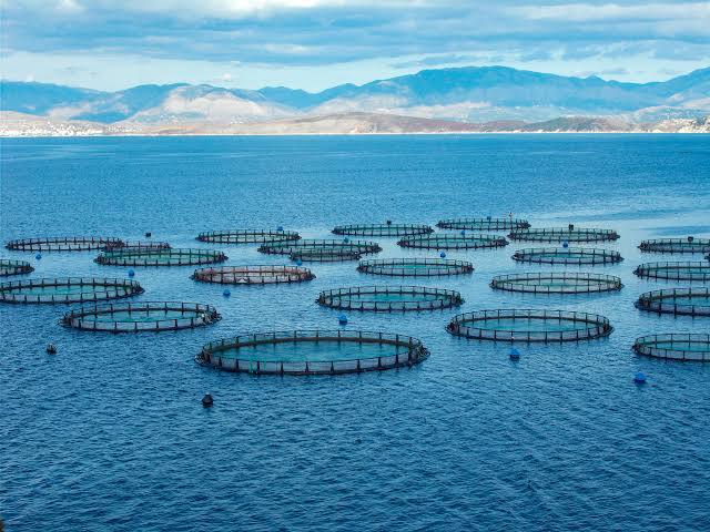 Marine and continental Aquaculture